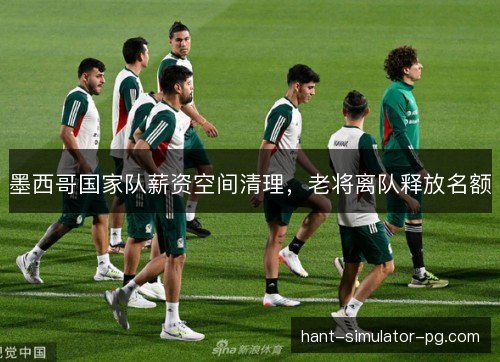 墨西哥国家队薪资空间清理，老将离队释放名额